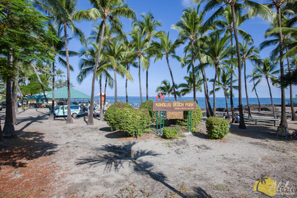 Kahaluu Beach Park (1-2 min drive)