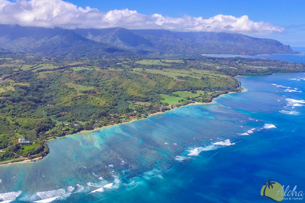 Anini Beach (12 min drive)