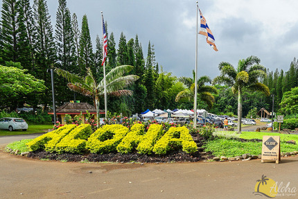 Kilauea Farmers Market