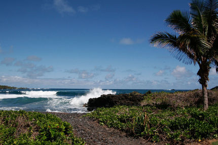 Property And Grounds