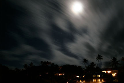 Property And Grounds