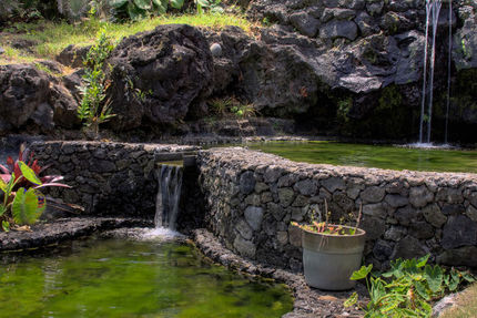 Property And Grounds