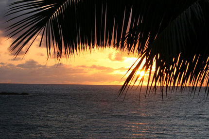 Property And Grounds