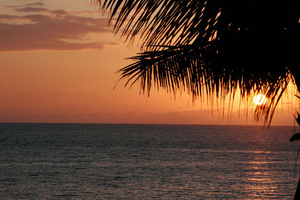 Property And Grounds