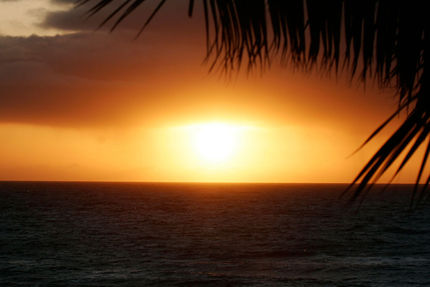 Property And Grounds