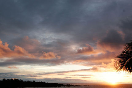 Property And Grounds