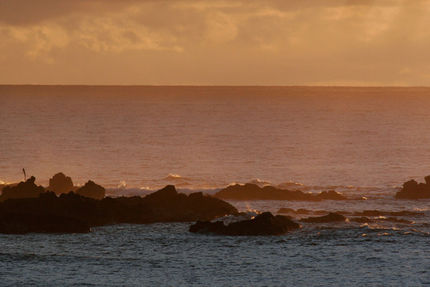 Property And Grounds