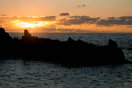 Property And Grounds