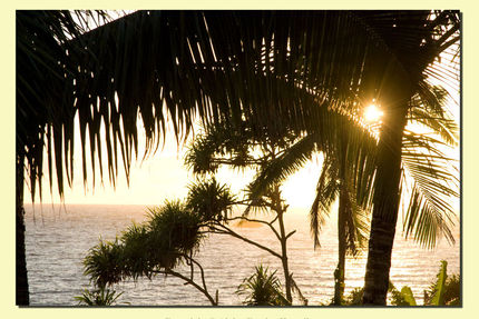 Property And Grounds