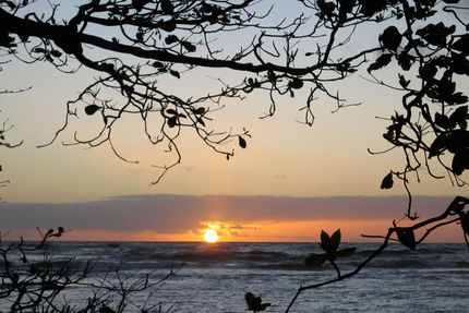 Property And Grounds