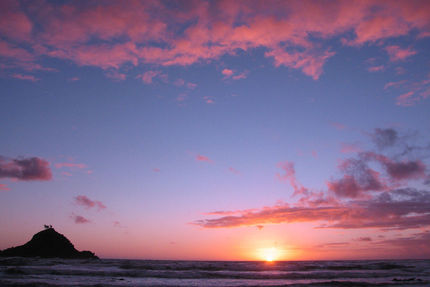 Property And Grounds