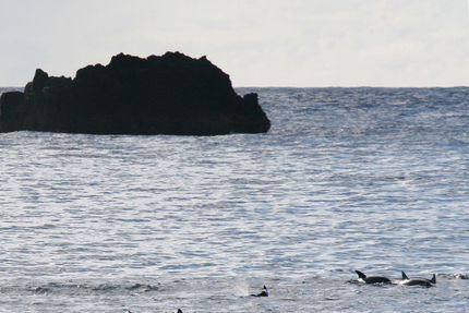 Property And Grounds