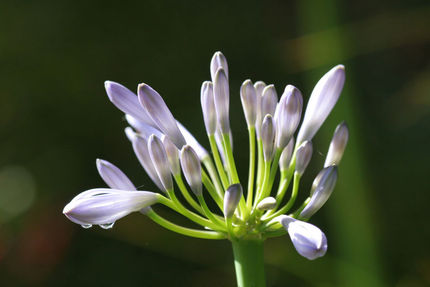 Property And Grounds