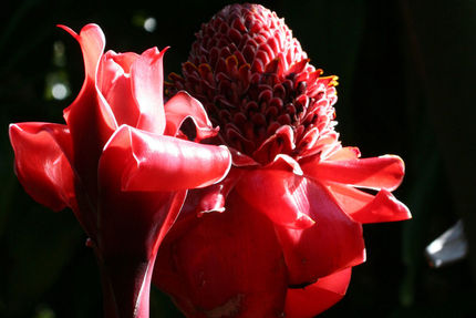 Property And Grounds