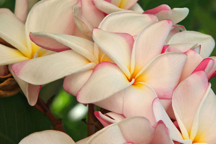 Property And Grounds