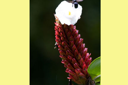 Property And Grounds