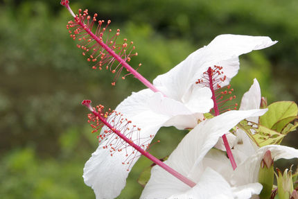 Property And Grounds