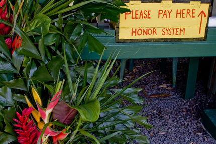 Property And Grounds