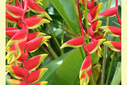 Property And Grounds