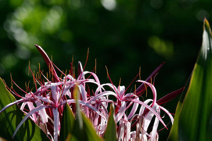 Property And Grounds