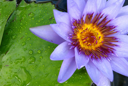 Property And Grounds