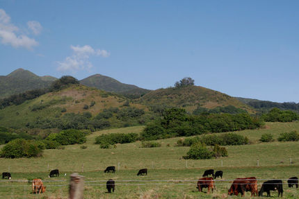 Recreation And Fitness