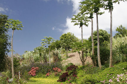 Recreation And Fitness