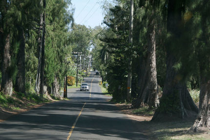 Recreation And Fitness