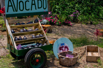 Recreation And Fitness