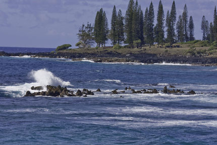 Recreation And Fitness