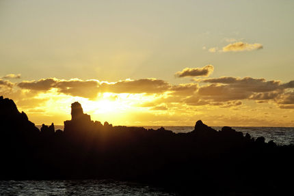 Recreation And Fitness