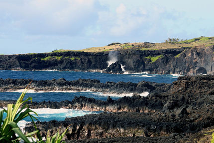 Recreation And Fitness