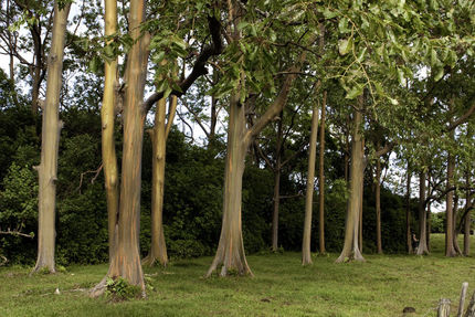 Recreation And Fitness