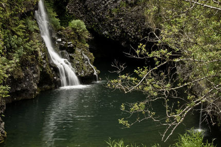 Recreation And Fitness