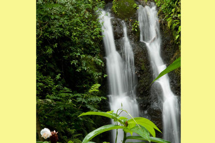 Recreation And Fitness