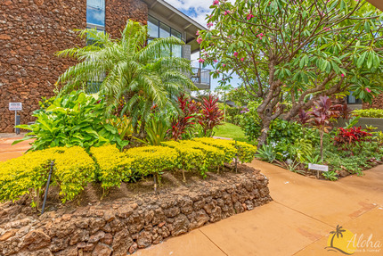 Grounds at Polynesian Shores