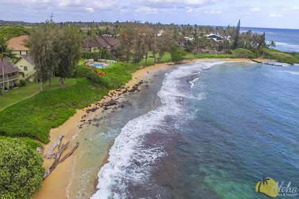 Aerial Of Beach
