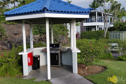 Vvq at Mauna Loa Village