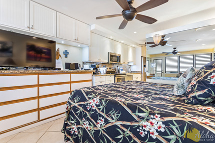 Studio Sleeping Area