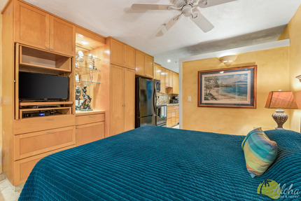 Studio Sleeping Area