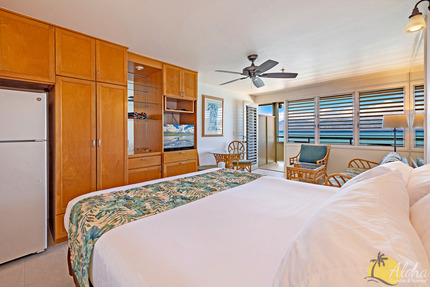 Studio Sleeping Area