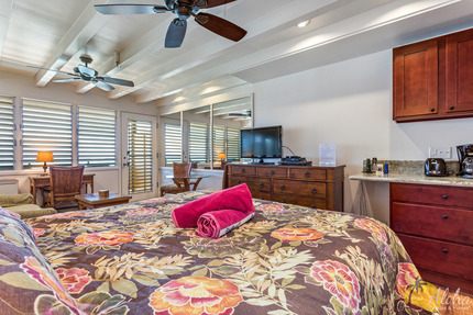 Studio Sleeping Area