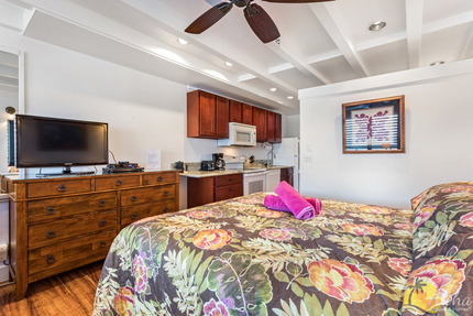 Studio Sleeping Area