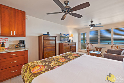 Studio Sleeping Area