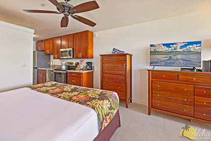 Studio Sleeping Area