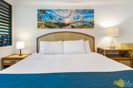 Studio Sleeping Area