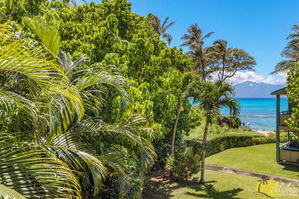 View from Condo 217, Napili Bay Resort