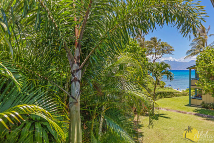 View from Condo 218, Napili Bay Resort