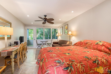 Studio Sleeping Area