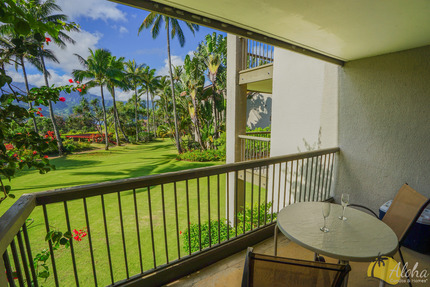 Second Bedroom Lanai